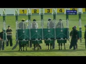 Video preview image for Newmarket 19:40 - Mk Shipping Maiden Stakes