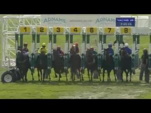 Video preview image for Newmarket 14:45 - Adnams Dry Hopped Lager Handicap