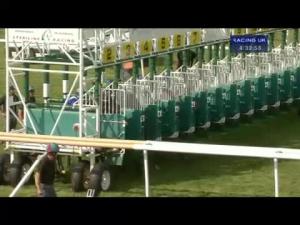 Video preview image for Newmarket 16:30 - Adnams Mosaic EBF Stallions Conditions Stakes