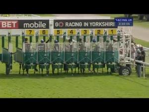 Video preview image for York 16:40 - Sky Bet Supporting Yorkshire Air Ambulance Handicap