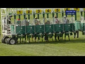 Video preview image for Newmarket 17:05 - Adnams Copper House Gin Handicap