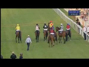 Video preview image for Salisbury 20:20 - Ginger Grouse By Famous Grouse Handicap