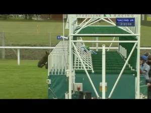 Video preview image for Ascot 14:30 - Anders Foundation EBF Stallions Crocker Bulteel Maiden Stakes