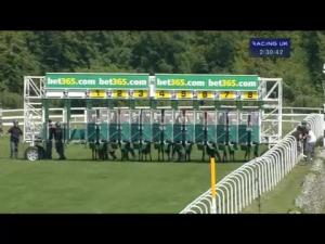 Video preview image for Goodwood 14:30 - Bet365 Molecomb Stakes (Group 3)