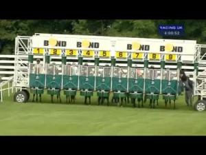 Video preview image for Beverley 16:00 - Racing UK Profits All Returned To Racing Handicap