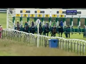 Video preview image for Beverley 16:35 - Wilford Watts Memorial Handicap