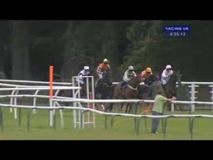 Video preview image for Perth 16:35 - Weatherbys Private Banking Handicap Hurdle