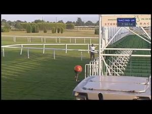 Video preview image for Sandown Park 19:30 - Slug and Lettuce Tuesdays 2-4-1 Curries Handicap