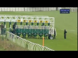 Video preview image for Thirsk 13:45 - Emma Stothard, Sculptor - Fillies' Nursery