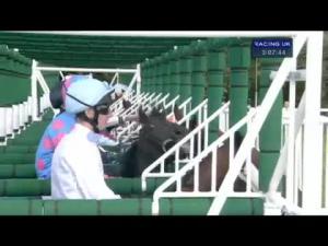 Video preview image for Goodwood 15:05 - Betfred Mile (Heritage Handicap)