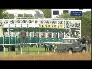 Video preview image for Thirsk 15:30 - Breeders Backing Racing EBF Conditions Stakes