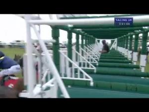 Video preview image for Goodwood 15:40 - Betfred King George Stakes (Group 2)