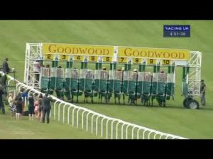 Video preview image for Goodwood 16:50 - L'Ormarins Queens Plate Stakes (Registered As The Oak Tree Stakes) (Fillies' Group 3)