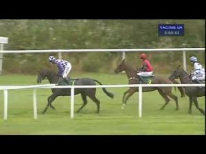 Video preview image for Bangor-On-Dee 17:00 - Meade King Robinson & Co Novices' Hurdle