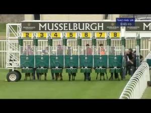 Video preview image for Musselburgh 18:45 - Wilkinson & Associates Nursery