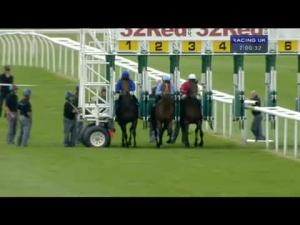 Video preview image for Newmarket 19:00 - Amp Silver Jubilee Novice Stakes
