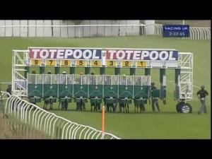 Video preview image for Thirsk 14:30 - Thirsk Ladies' Day Saturday 6th September Nursery