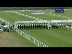 Video preview image for Newmarket 14:55 - Cheveley Park Stud Supporting Alzheimer's Research UK Fillies' Nursery
