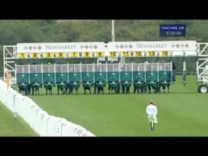 Video preview image for Newmarket 15:30 - Alzheimer's Research UK EBF Maiden Fillies' Stakes