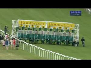 Video preview image for Goodwood 16:25 - Natwest Ahead For Business EBF Stallions Maiden Stakes