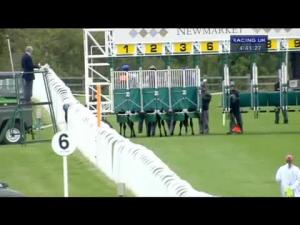 Video preview image for Newmarket 16:40 - Standard Life Investments Supporting Aruk Handicap