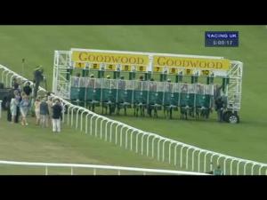 Video preview image for Goodwood 17:00 - Telegraph Nursery