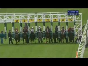 Video preview image for Hamilton Park 19:15 - Caesars Entertainment Handicap