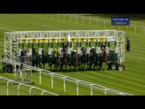 Video preview image for Newbury 14:40 - Academy Insurance EBF Stallions Maiden Stakes