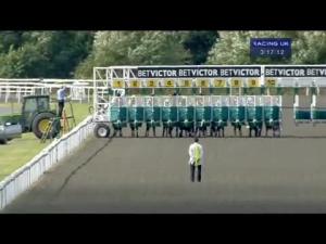 Video preview image for Kempton Park 15:15 - Download The BetVictor App Now Nursery