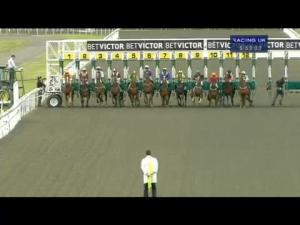 Video preview image for Kempton Park 17:50 - Kempton Live With Dizzee Rascal 06.09.14 Handicap