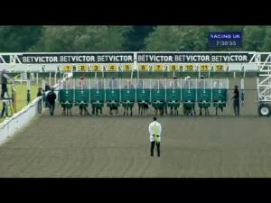 Video preview image for Kempton Park 19:30 - British Stallion Studs EBF Maiden Stakes