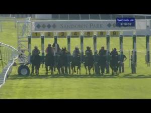Video preview image for Sandown Park 18:15 - Telegraph Hill Handicap