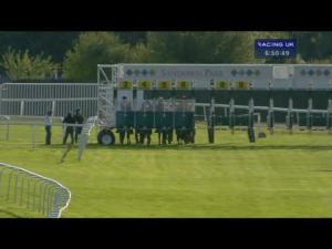 Video preview image for Sandown Park 18:50 - British Stallion Studs EBF Maiden Stakes