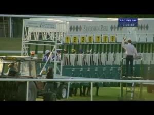 Video preview image for Sandown Park 19:25 - Cobham Handicap