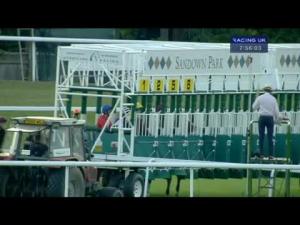 Video preview image for Sandown Park 19:55 - Christmas Parties At Sandown Park Handicap