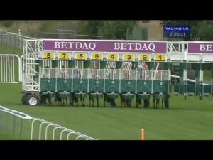 Video preview image for Haydock Park 19:25 - Supply UK Fillies' Handicap