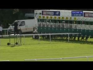 Video preview image for Haydock Park 16:35 - Betfred Duke Of Lancaster's Own Yeomanry Handicap (London Mile Series Qualifier)