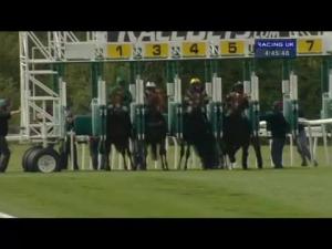 Video preview image for Newmarket 16:45 - Royal British Legion Handicap