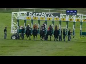 Video preview image for Newmarket 17:15 - Pamela Happy 80th Birthday Handicap