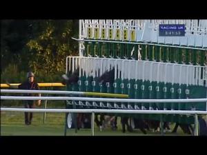 Video preview image for Ayr 20:40 - Qts Ladies' Night Handicap