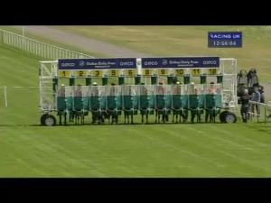 Video preview image for Ascot 12:55 - Dubai Duty Free Shergar Cup Dash Handicap