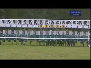 Video preview image for Ayr 14:30 - British Stallion Studs EBF Maiden Fillies' Stakes