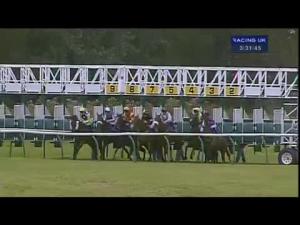 Video preview image for Ayr 15:30 - Danny Tyson Handicap (Div 2)