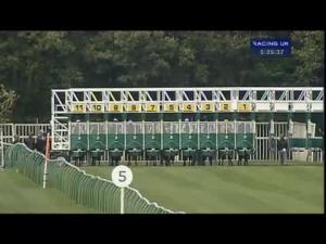 Video preview image for Nottingham 17:25 - Simply Cartons Ltd Nursery