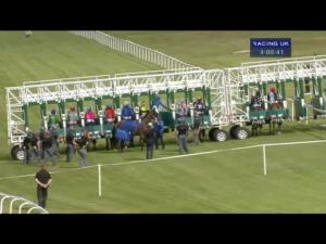 Video preview image for Salisbury 15:55 - EBF Stallions Upavon Fillies' Stakes (Listed)