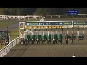 Video preview image for Kempton Park 20:50 - Betbright - Live The Moment Handicap