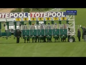 Video preview image for Salisbury 14:50 - Mary Wort Memorial Maiden Stakes