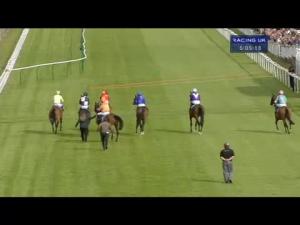 Video preview image for Salisbury 17:05 - Kevin Hall & Pat Boakes Memorial Handicap