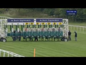 Video preview image for Newbury 14:50 - Christopher Smith Associates Claiming Stakes (Str)