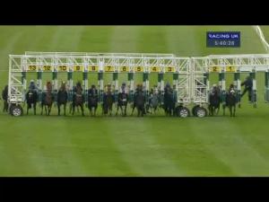 Video preview image for Catterick Bridge 17:40 - Pin Point Recruitment Amateur Riders' Handicap